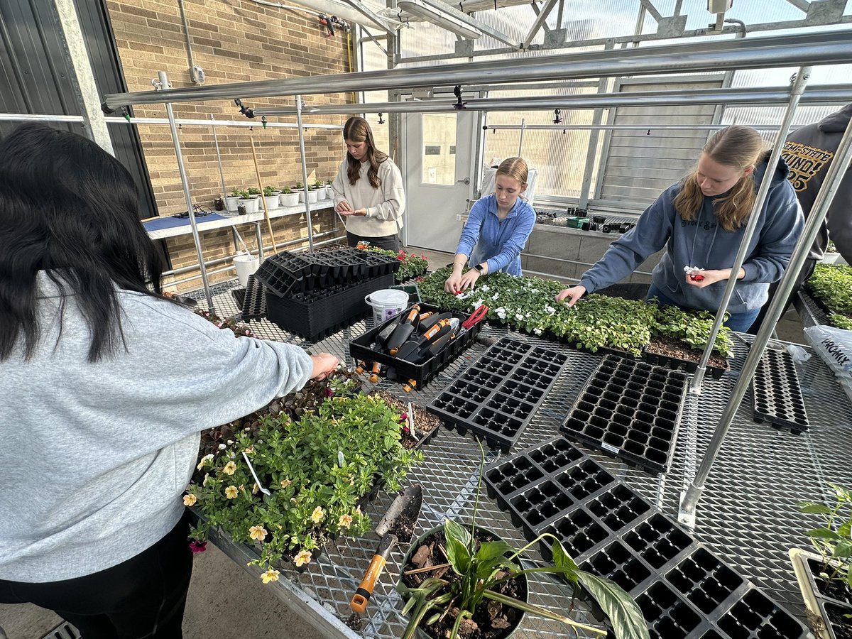 Dr. Chuck Grable tweet media