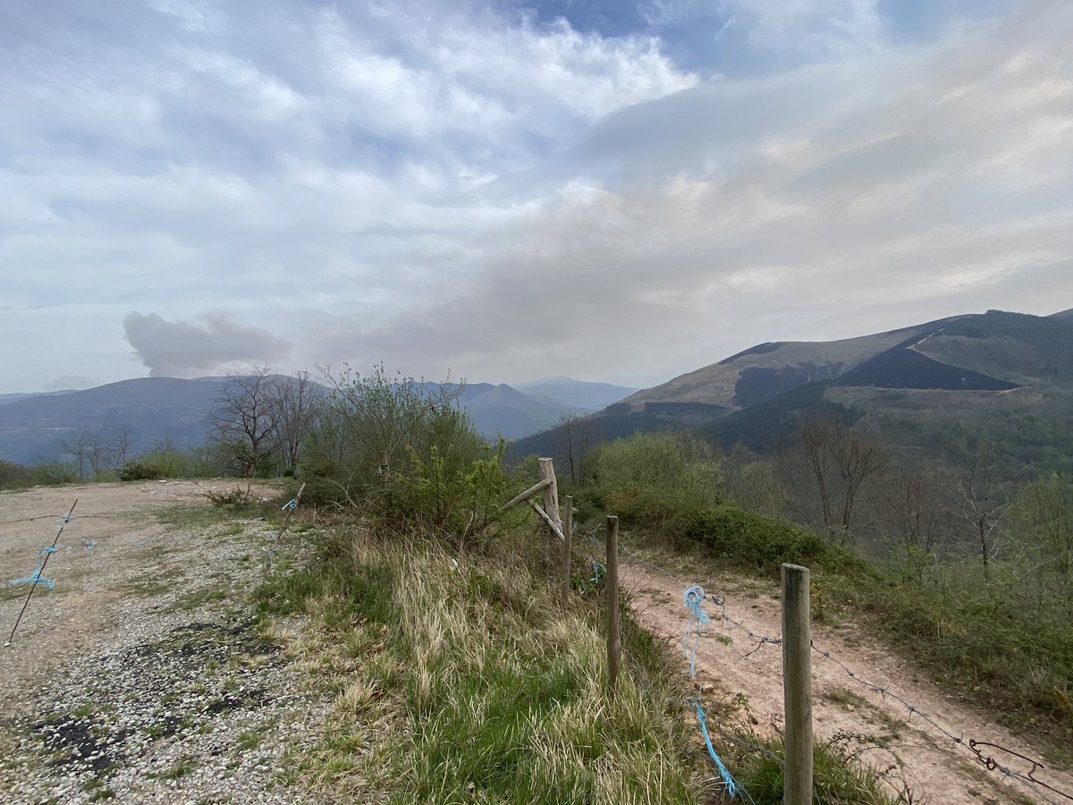 Virginia Carracedo Martín tweet media