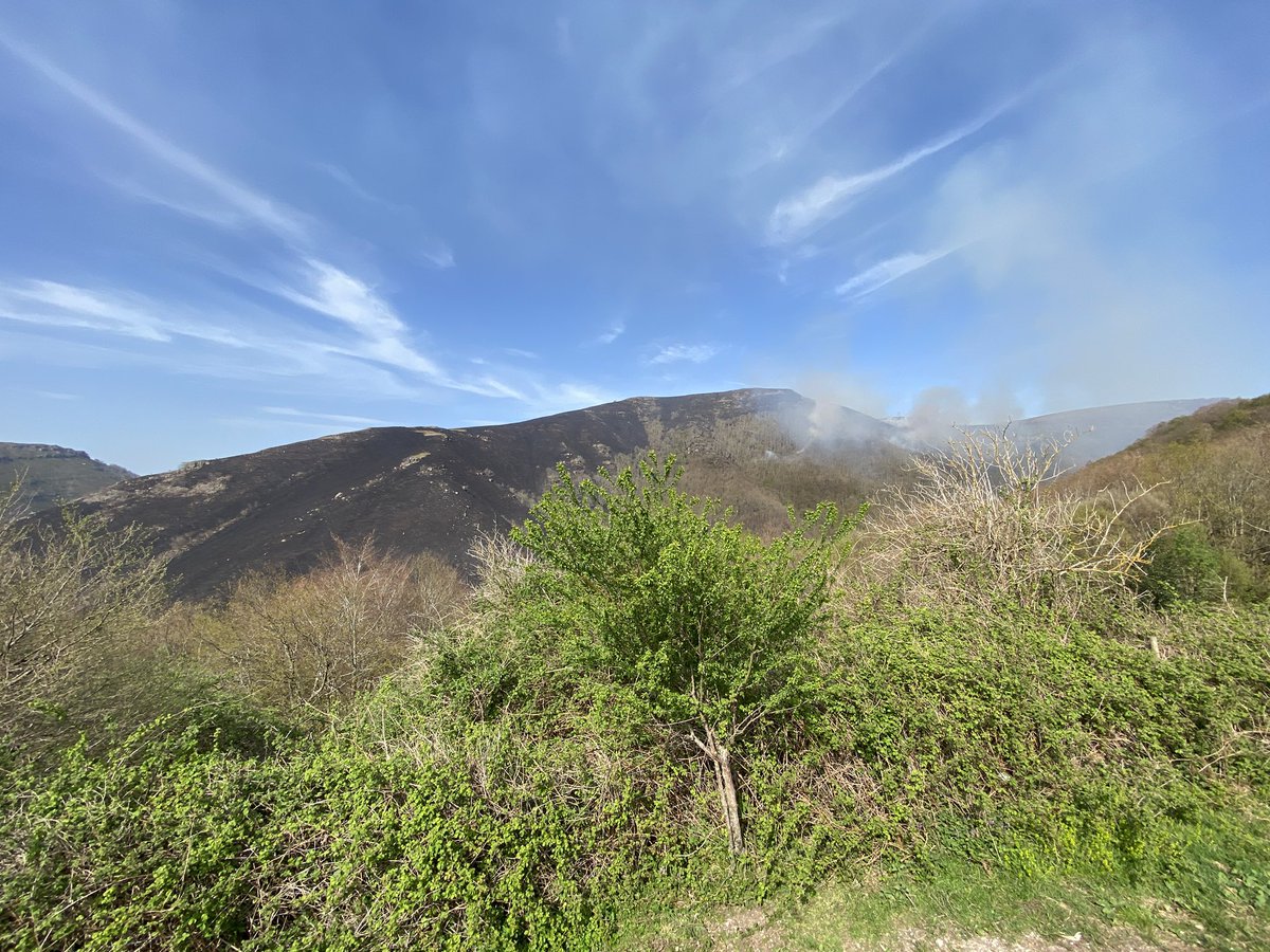 Virginia Carracedo Martín tweet media