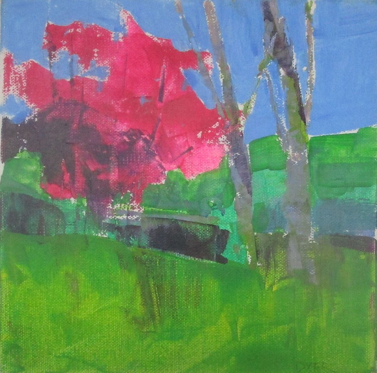 Chris Boese tweet media