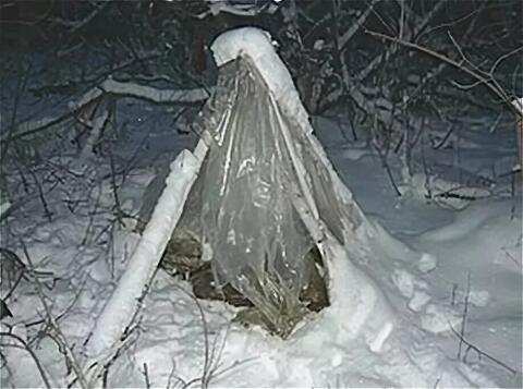 Slothenie tweet media