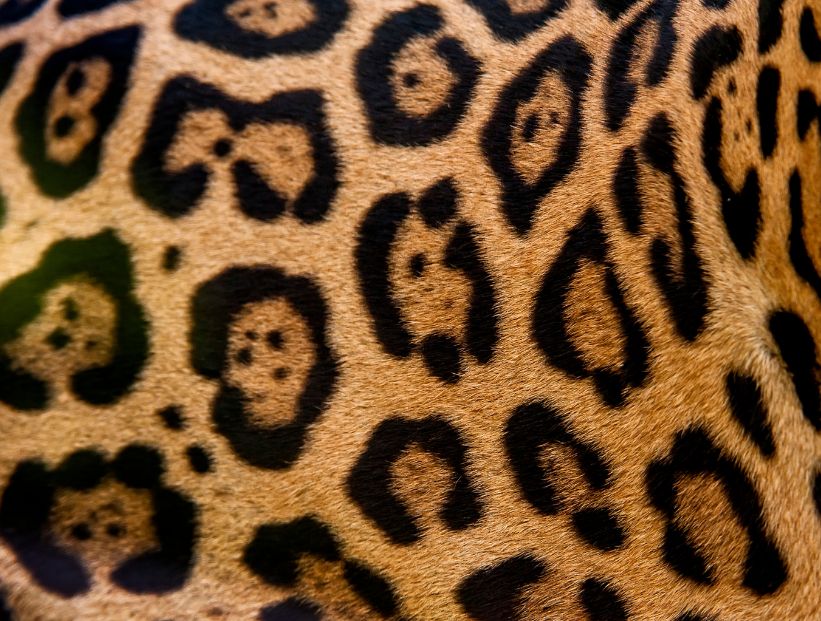 Ithilluin Narbeleth tweet media