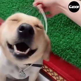 patricia rena henry tweet media