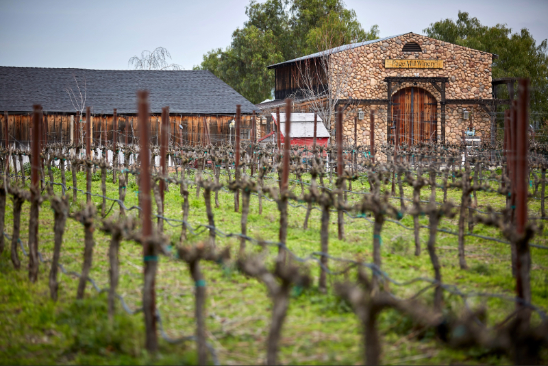 WineReviewOnlin's tweet image. Livermore Valley: California’s DTC AVA
By Roger Morris
Includes @Wente @DarcieKentWines @FenestraWinery @ConcannonWinery @Sakura_Winery @McGrailVineyard @PageMillWinery @GarreWinery Pruett Farms, &amp;amp; Wood Family wineries.
WineReviewOnline.com/livermore-vall… #Wine #Livermore #LivermoreWine