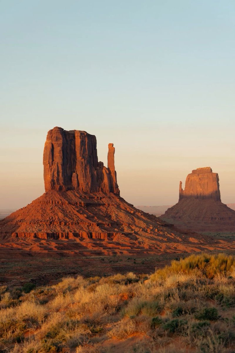 vistaaura tweet media