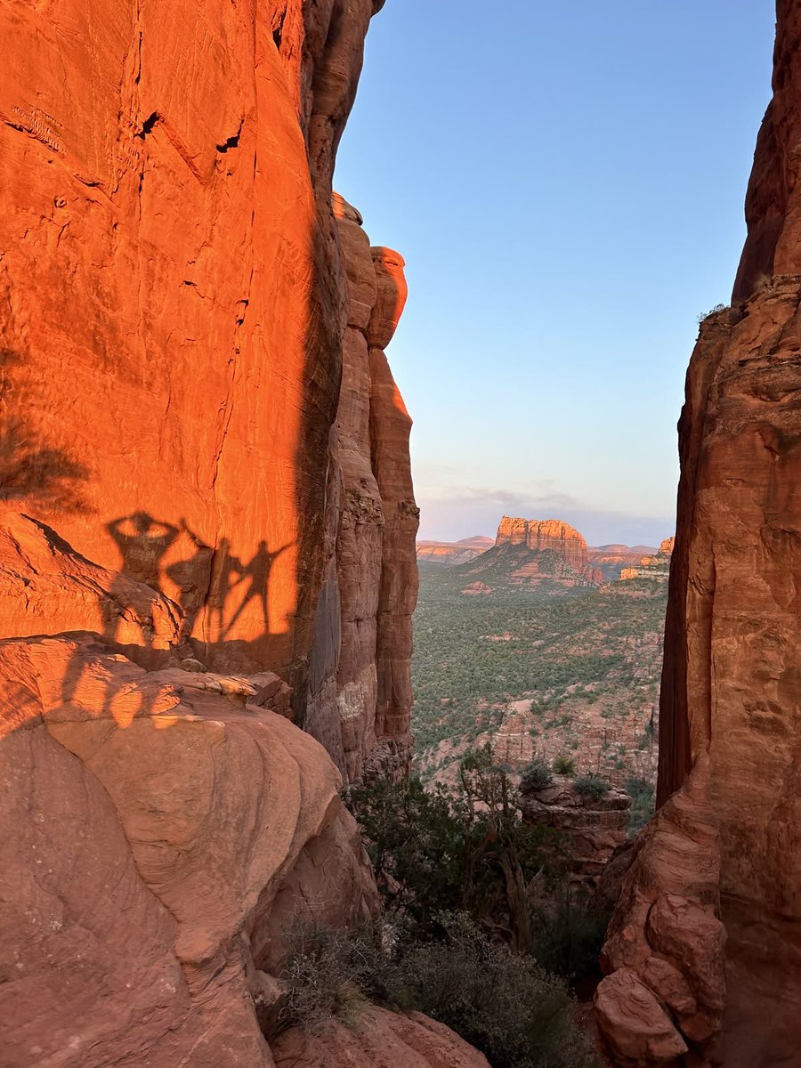 vistaaura tweet media