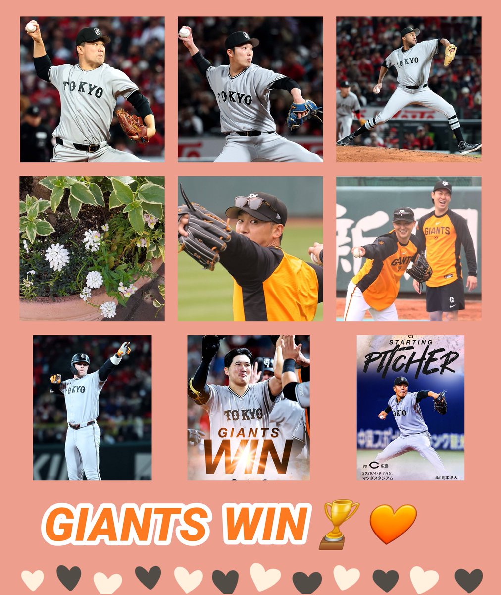 CanCan🦊G党🐰 tweet media