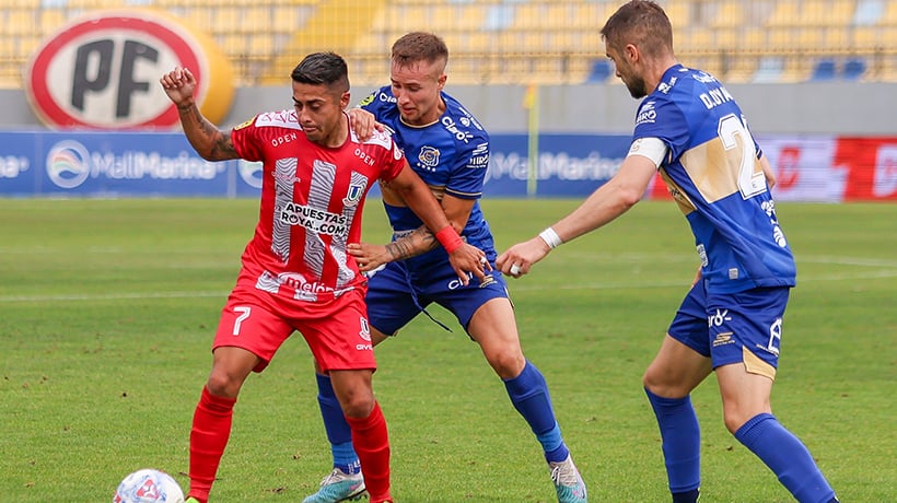 Everdatos tweet media