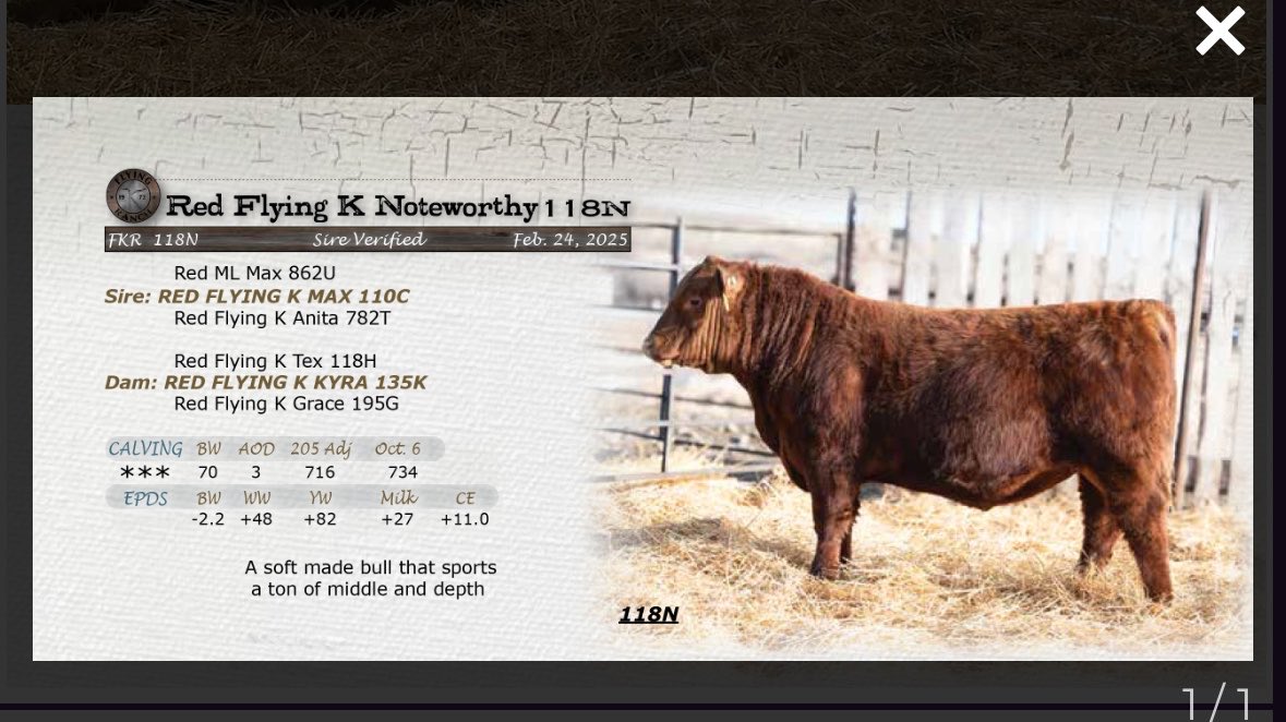 Mitch Stuart tweet media