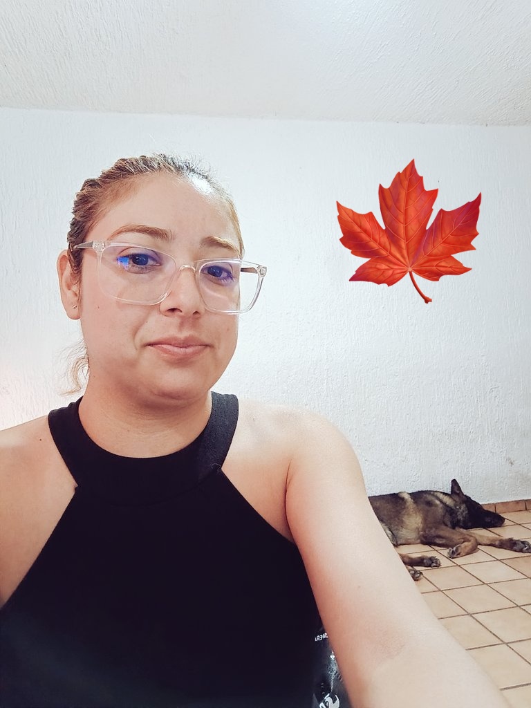 Mi guardián se durmió