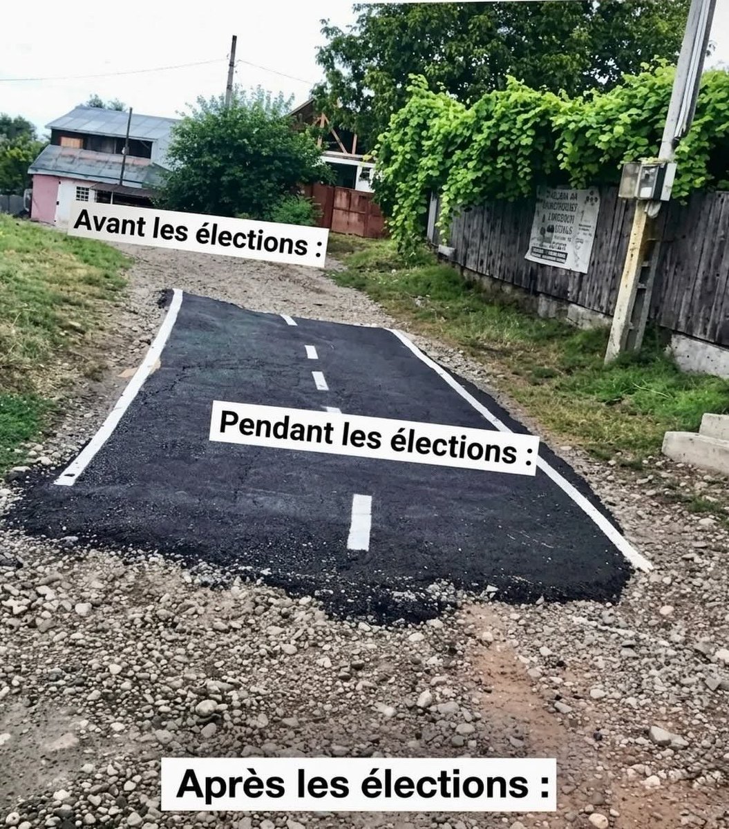 Le Contemplateur tweet media