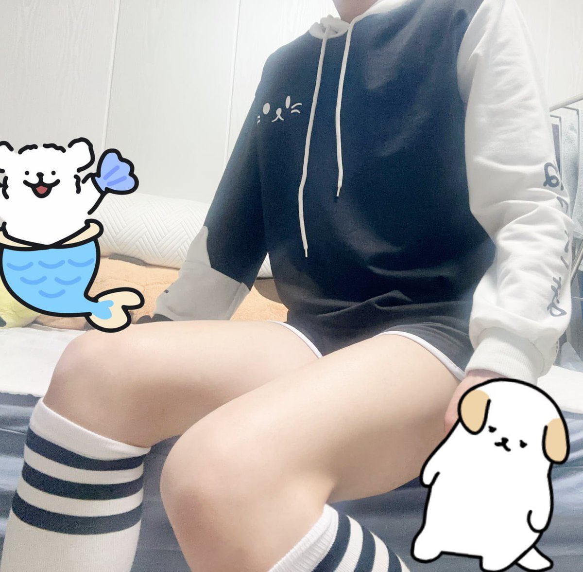 レコーゲン tweet media