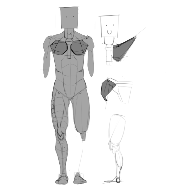 furulo2's tweet photo. anatomymaxxing https://t.co/jXisL7d3y4
