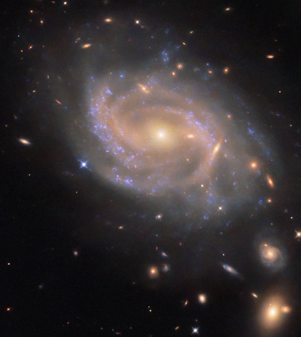 Black Hole tweet media