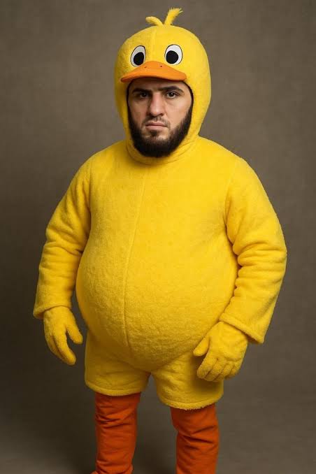 ufc is life tweet media