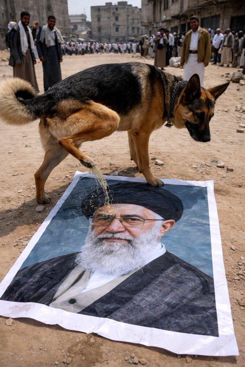 Abo.Noor.973 tweet media