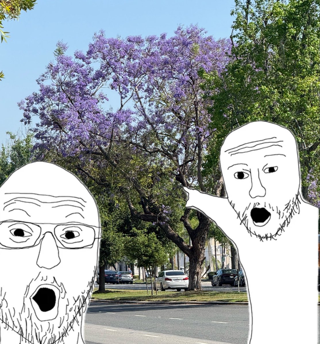 Americana at Brand Memes tweet media