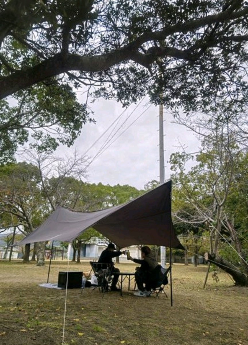 サイババ tweet media