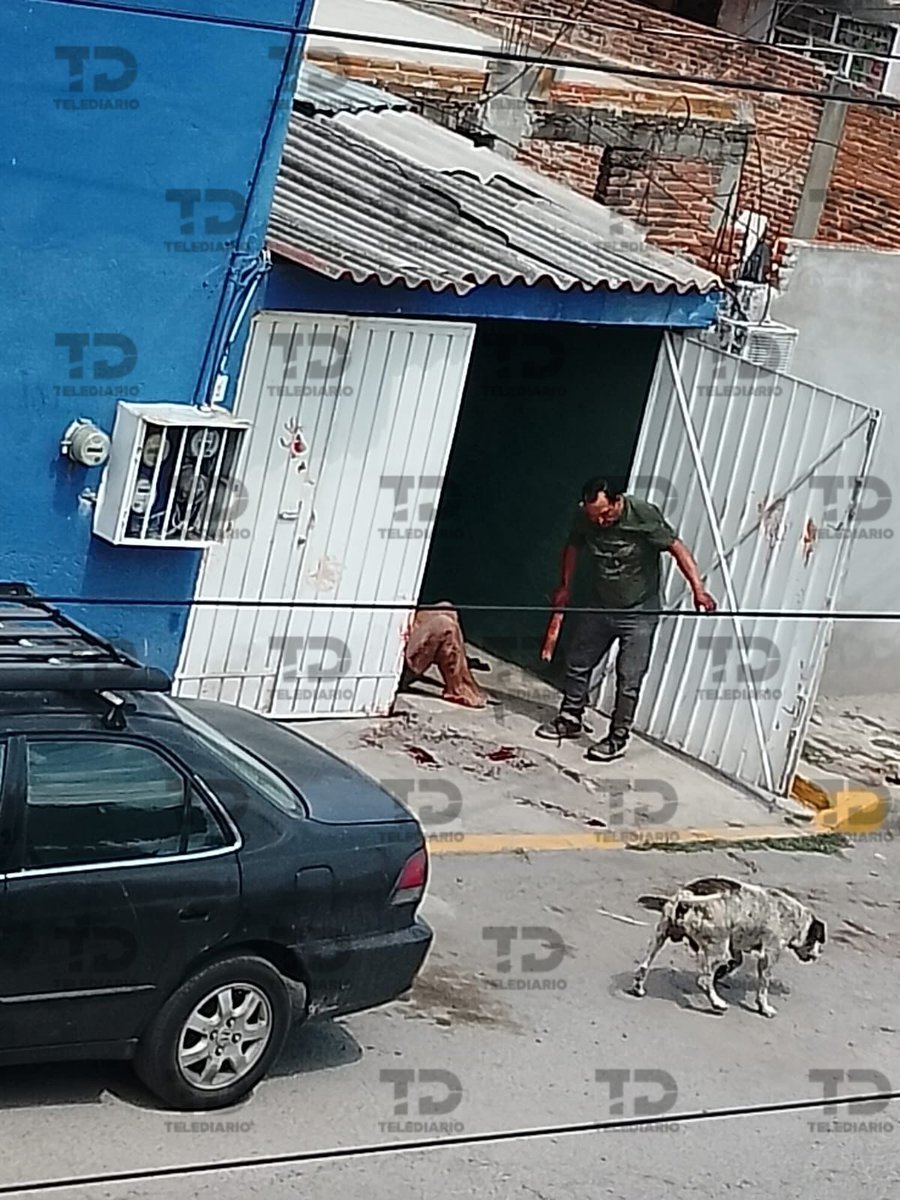 Telediario Puebla tweet media
