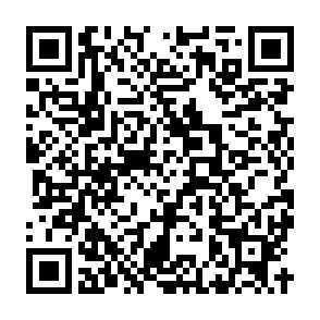 橋本陽菜生誕祭実行委員会2026 tweet media