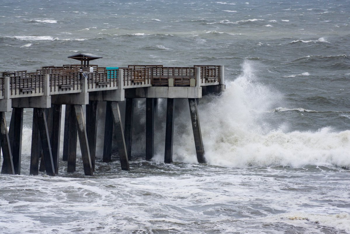 Will Vogt tweet media