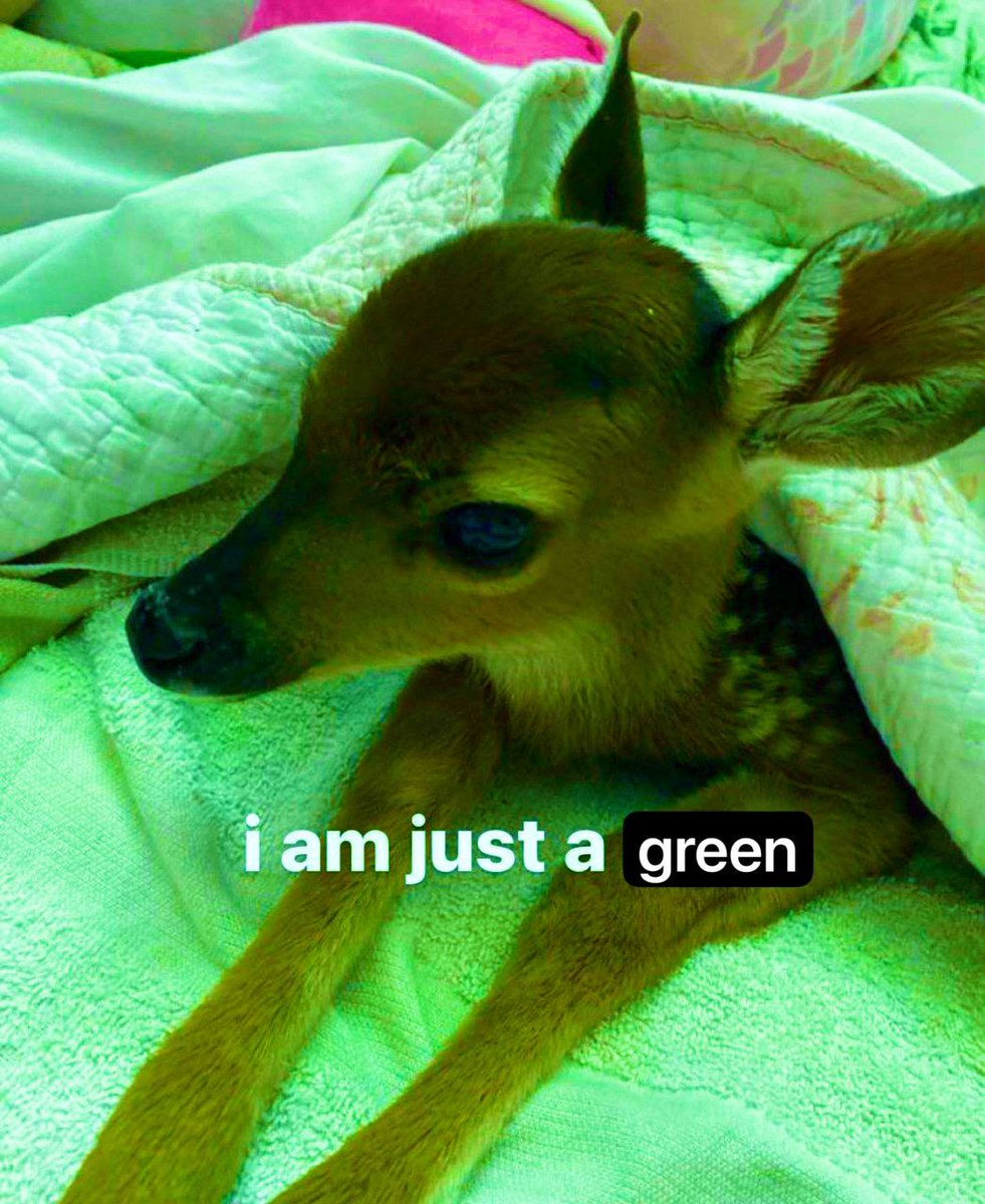 Deerposts tweet media