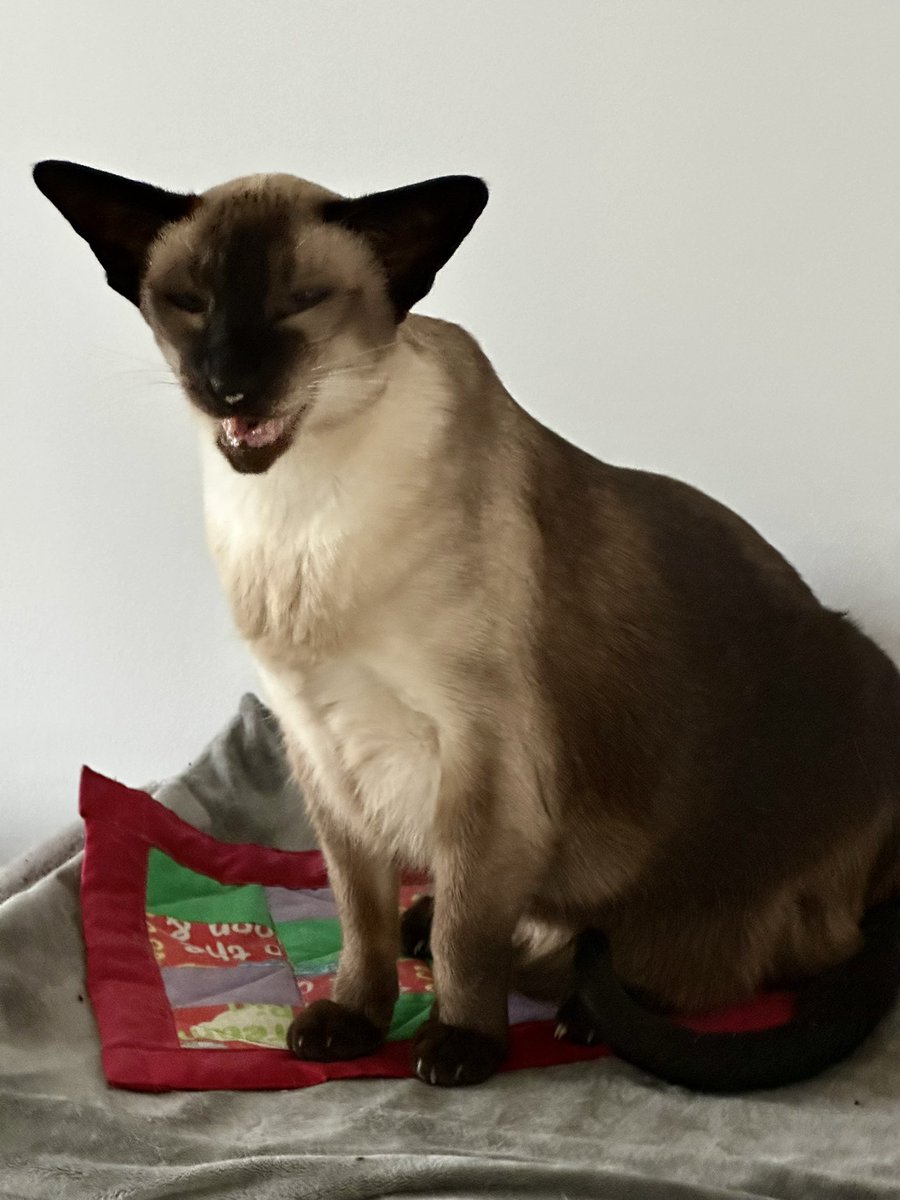 Fat Sandra & her mum 🏴󠁧󠁢󠁳󠁣󠁴󠁿 tweet media