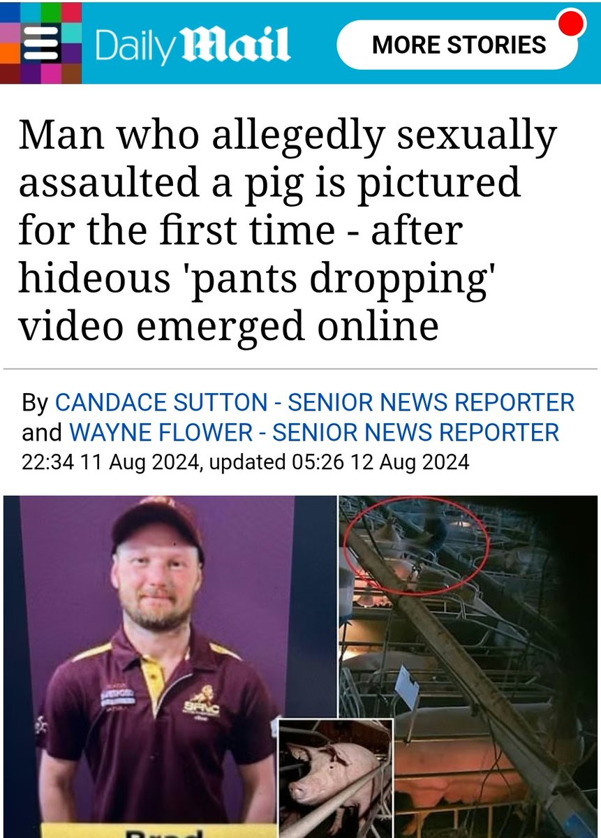 JustNotNormalOk tweet media