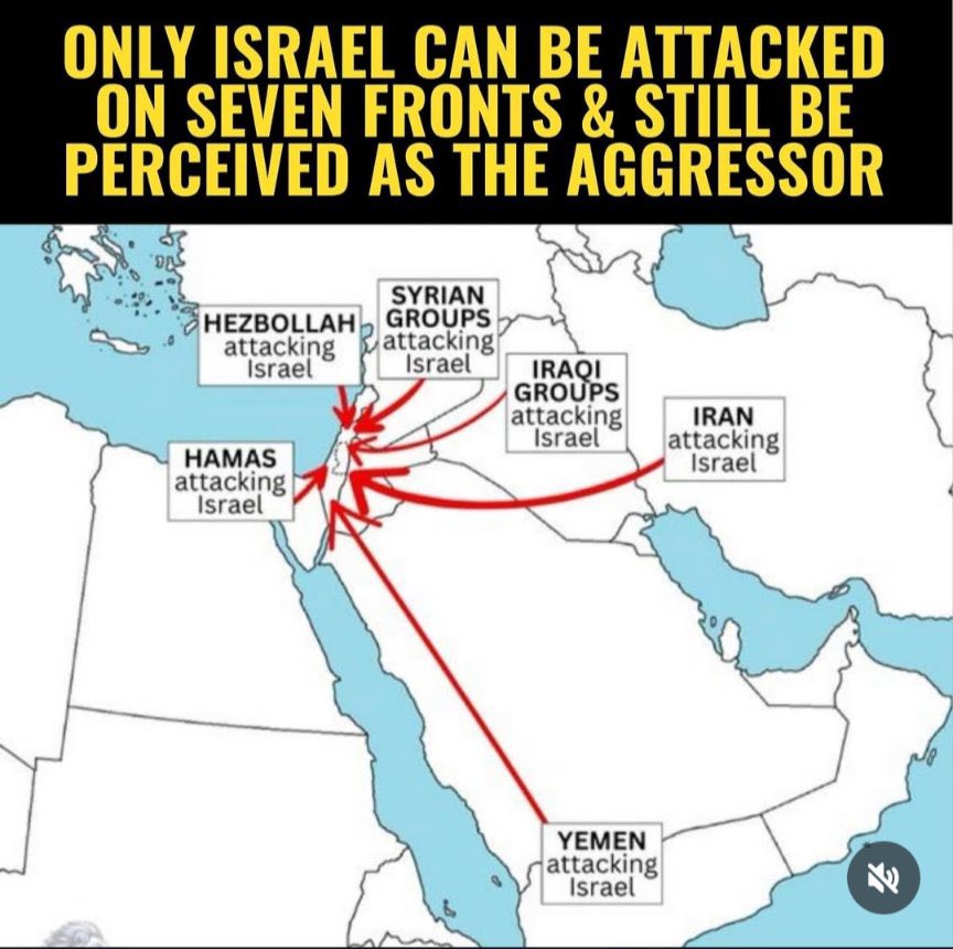 Dr. Shula Levin_‏🇮🇱شوله ד״ר שולה לוין tweet media