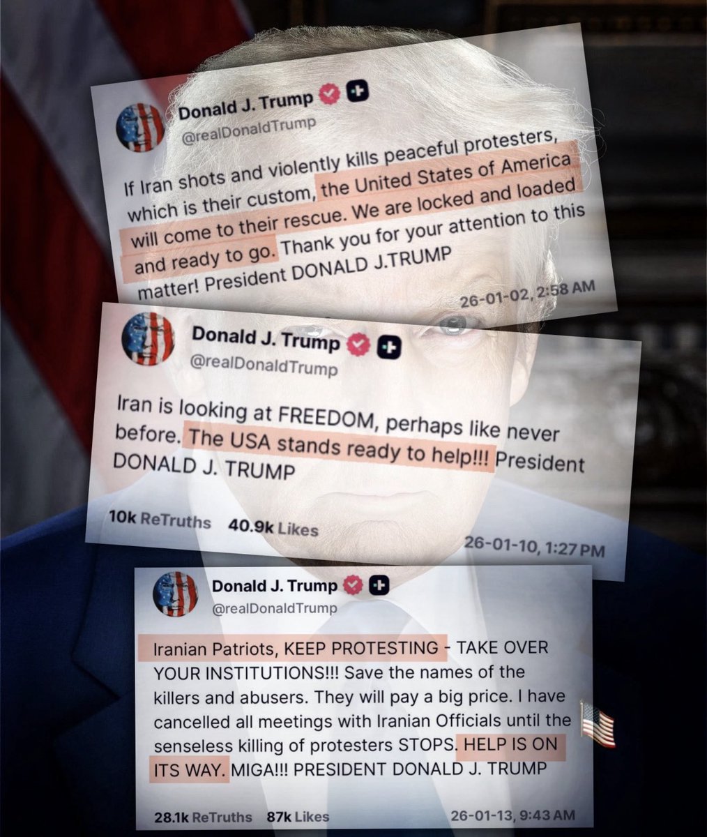 Traci Thompson tweet media