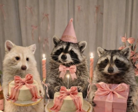 ⭐️^^...Lúa...^^⭐️ tweet media