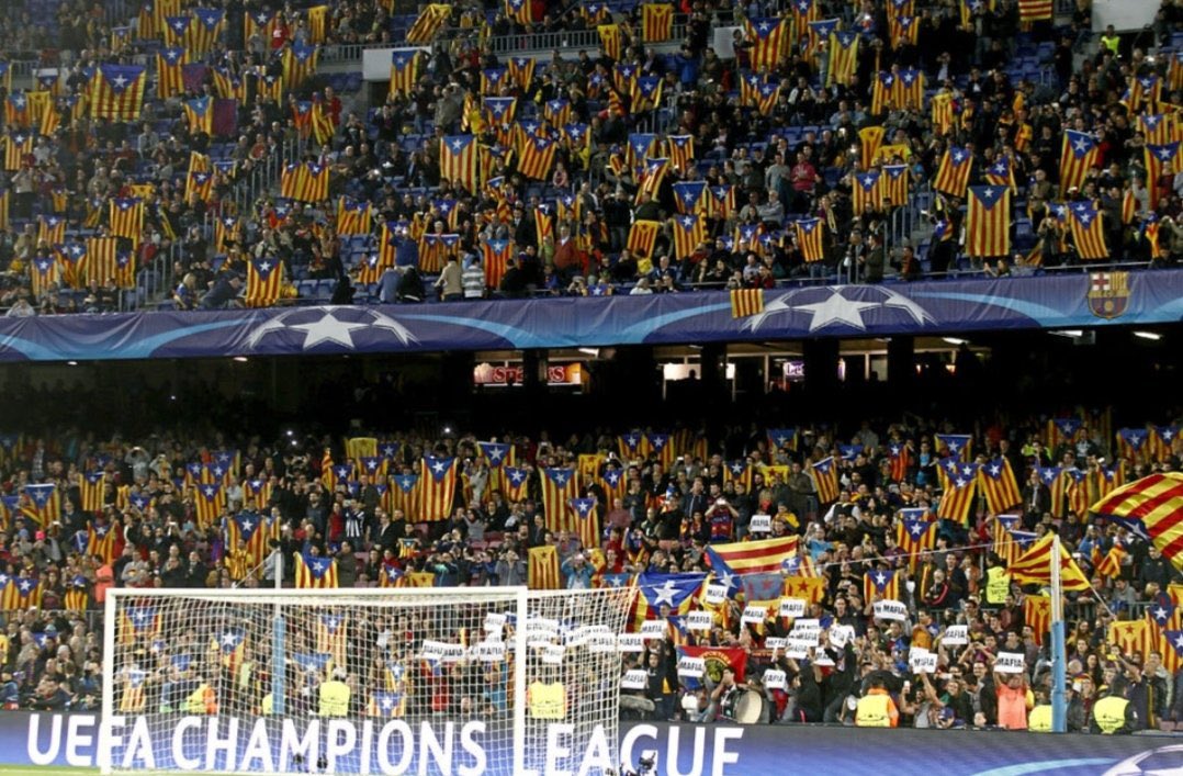 ᴘɪᴛɪɴɢᴏ tweet media