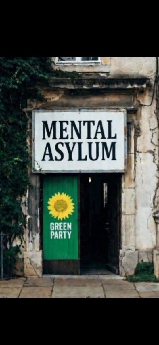 Laughing Monkey tweet media