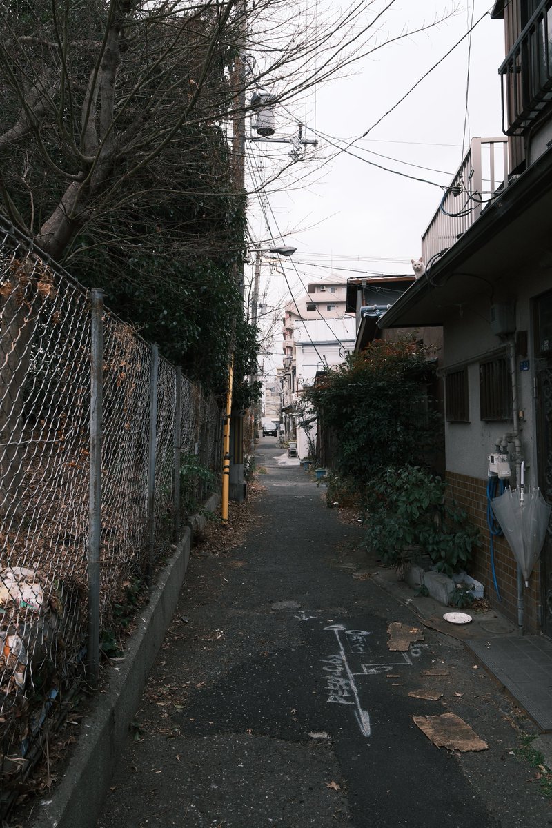 小林哲朗　写真家 tweet media