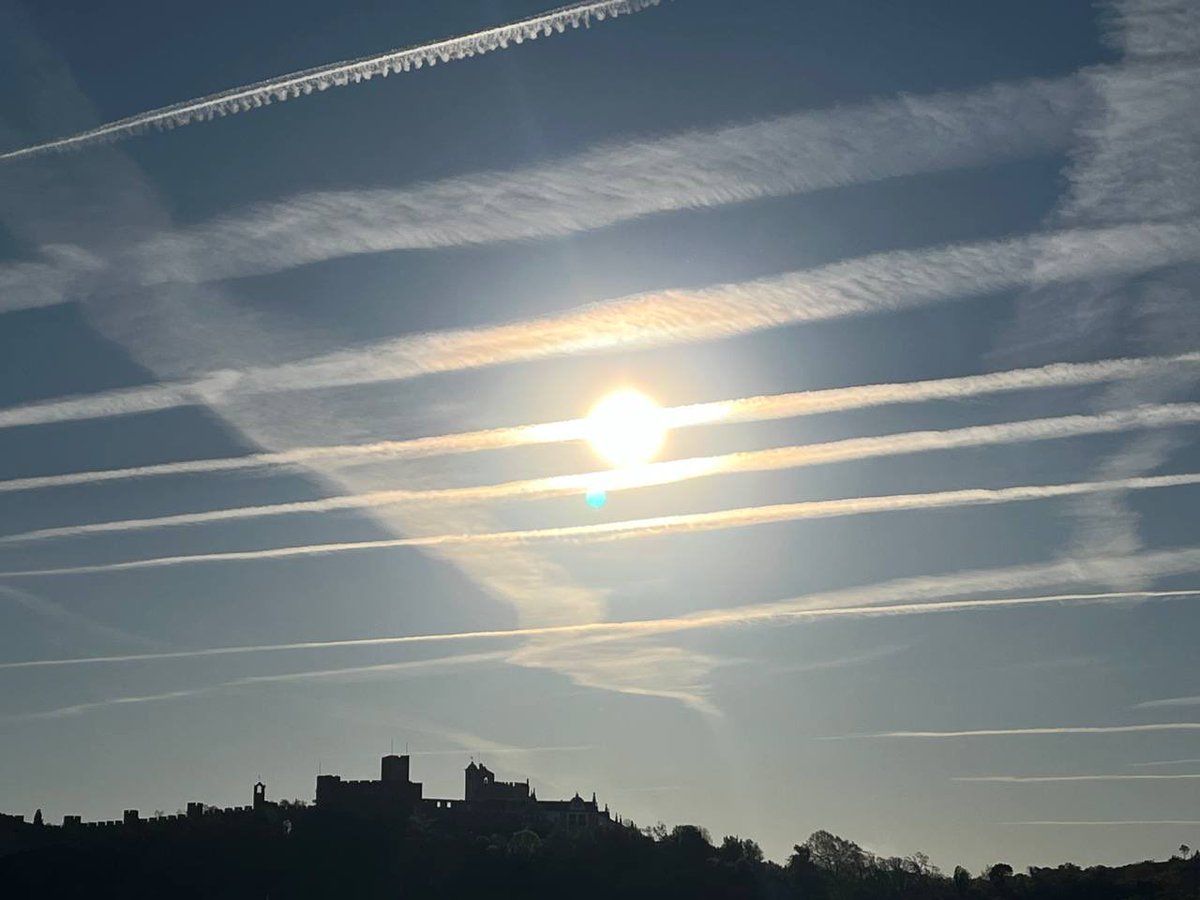 Andrew Bridgen tweet media