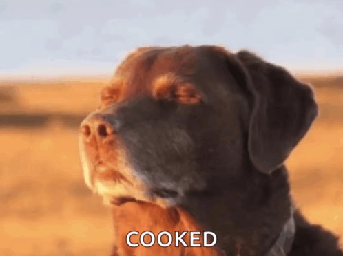 Sellers16fx tweet media