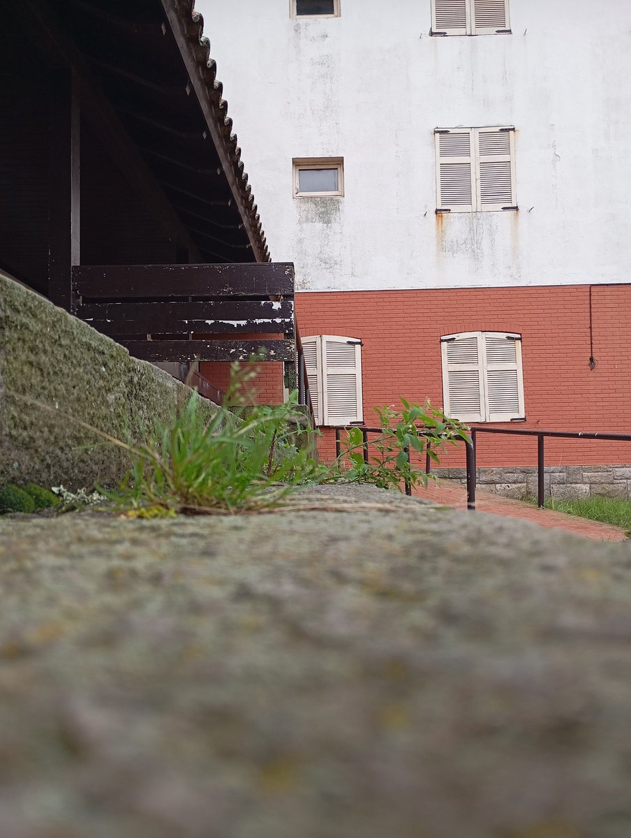 Julián Carax 🇦🇷 tweet media