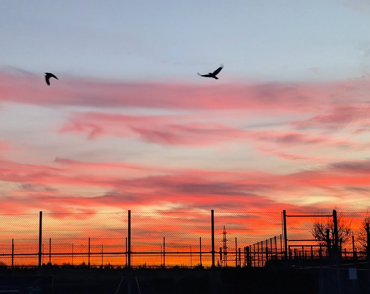 T🪐raumfahrer tweet media