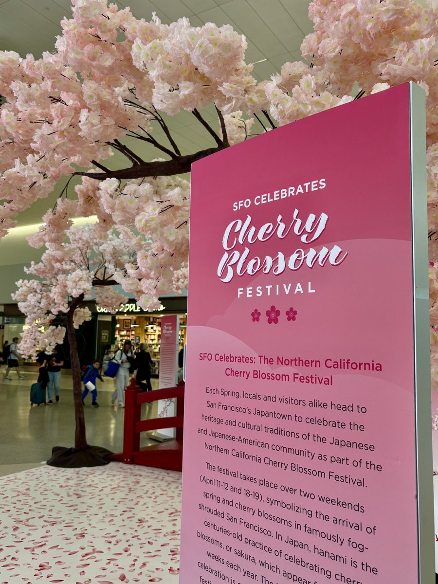 San Francisco International Airport (SFO) ✈️ tweet media