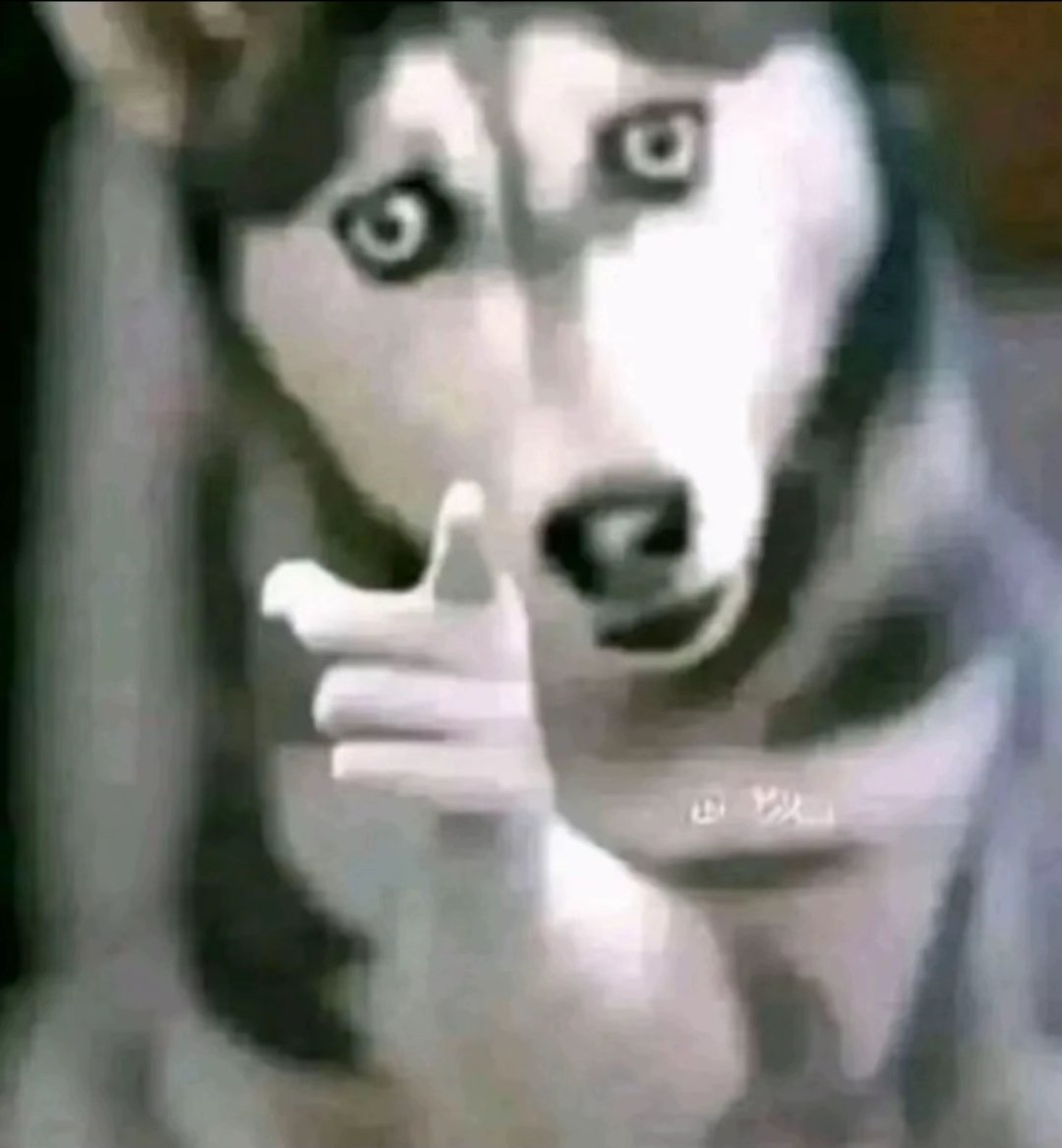 ♧rudeu☆ tweet media