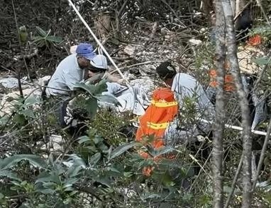 NewsHidalgo tweet media