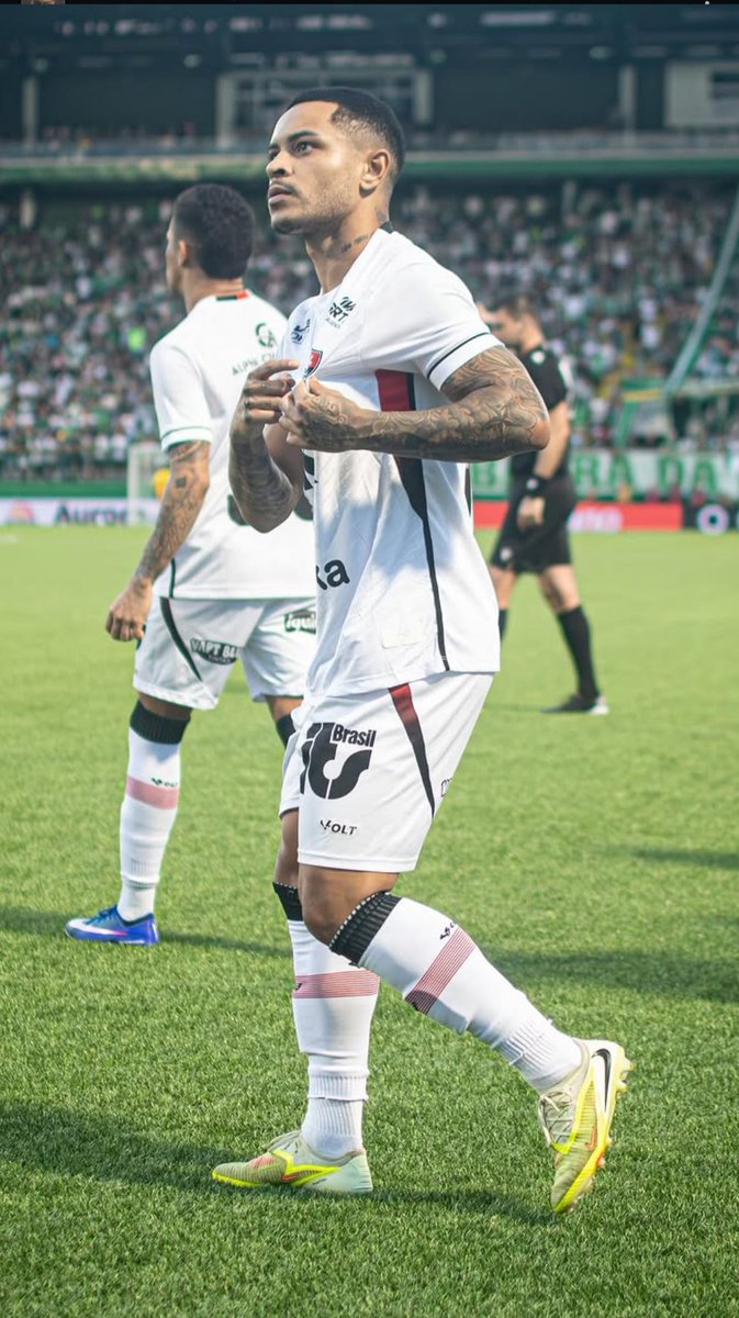 Vegettoria tweet media