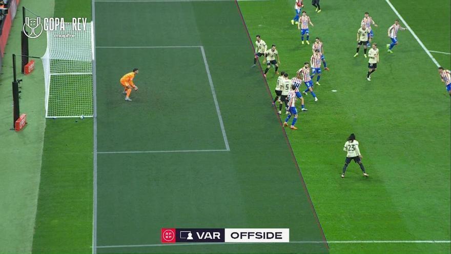 Adrià Luria 🐢 tweet media