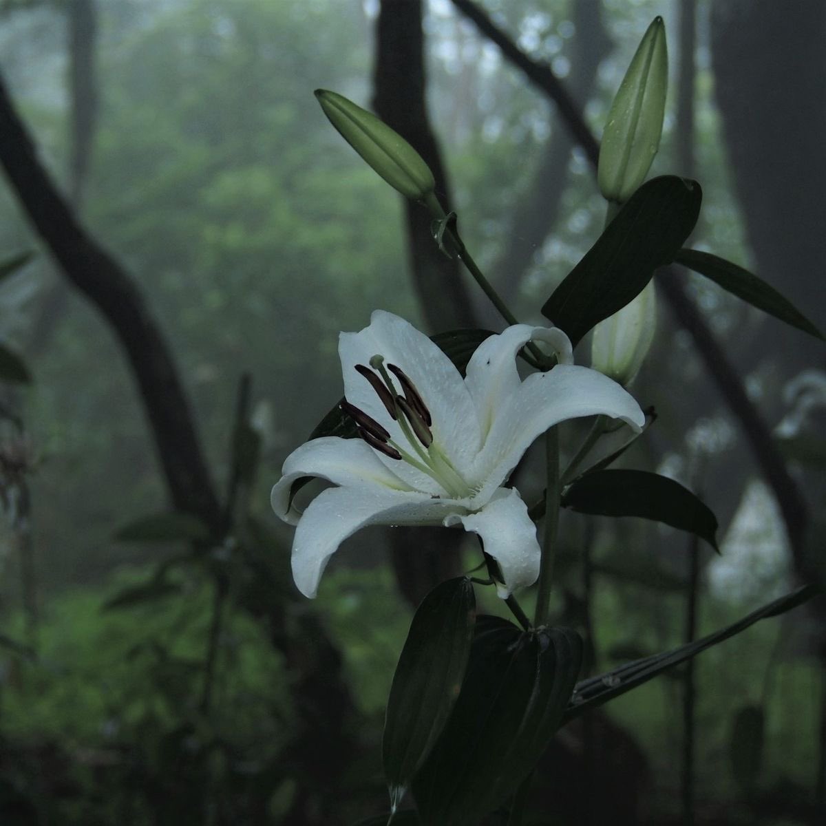 ⋆.˚⊹♡⊹˚.⋆ (@zara_theebest) on Twitter photo 