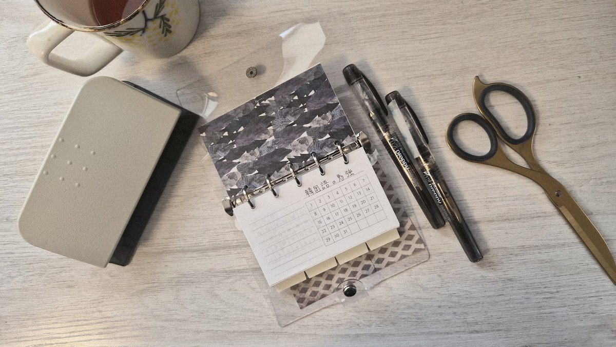 🦔⸒⸒ tweet media