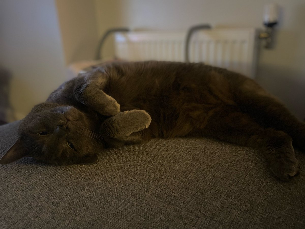 Abbey Fender tweet media