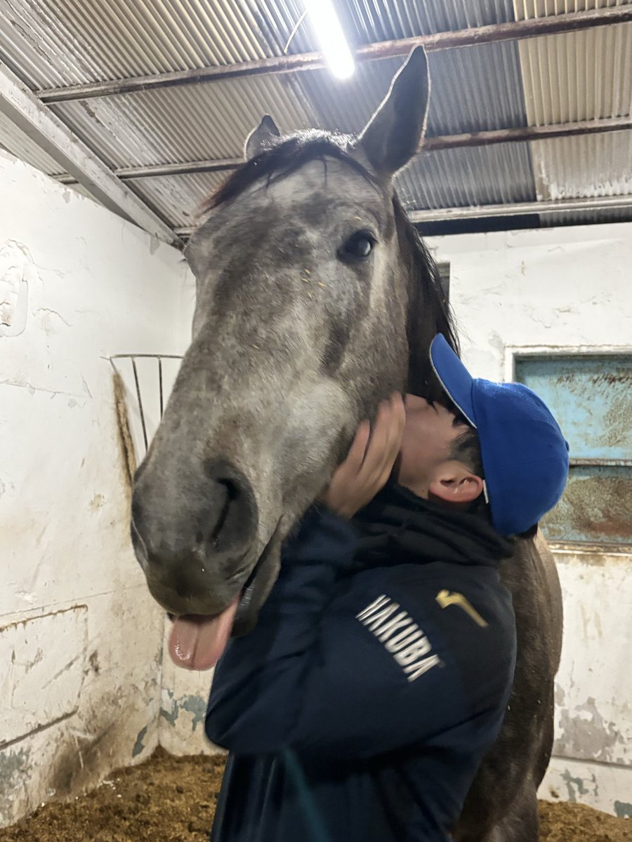 グリングリングラスの成長日記🐴 tweet media