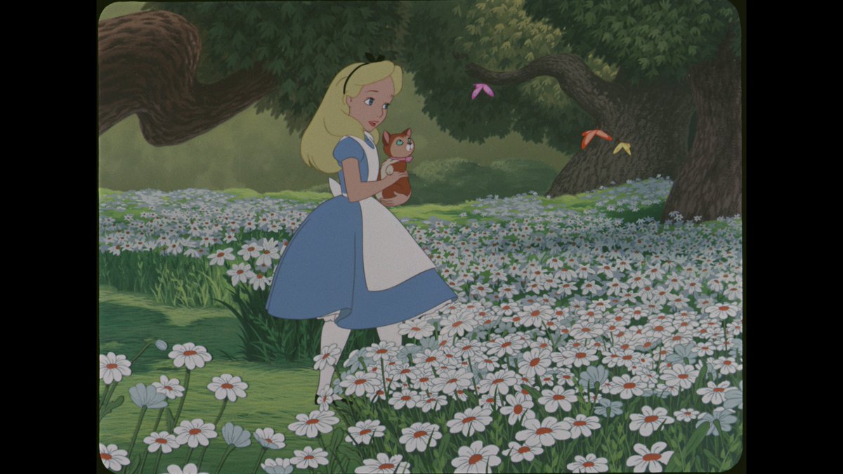 Bill Hunt tweet media