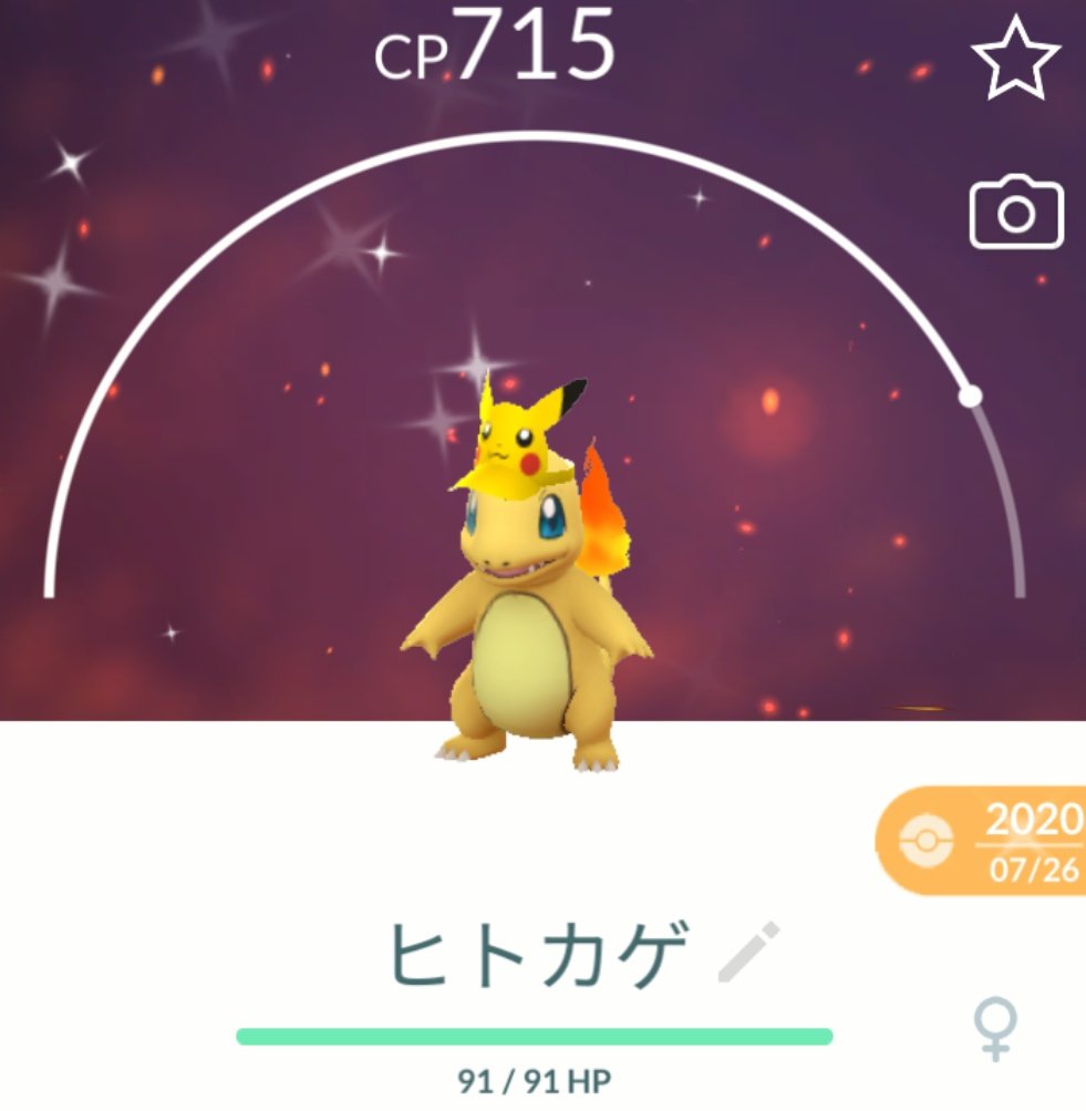 あんこ tweet media