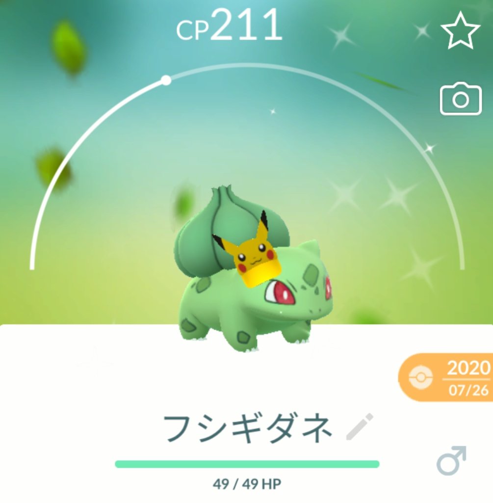 あんこ tweet media